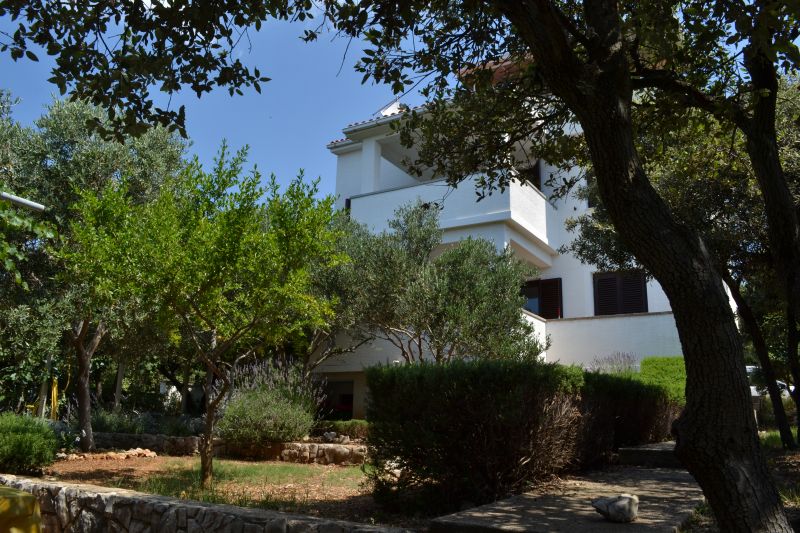 Apartments Salvia Mandre