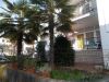 Apartmani Jurcan - Poreč