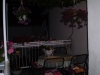 apartman-Ribarevic - Baška Voda
