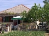 Apartman Luka - Betina