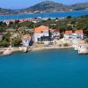Kornati nautilus - Betina