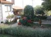 Apartmán Gračišće-Istra - Gračišće-Pazin